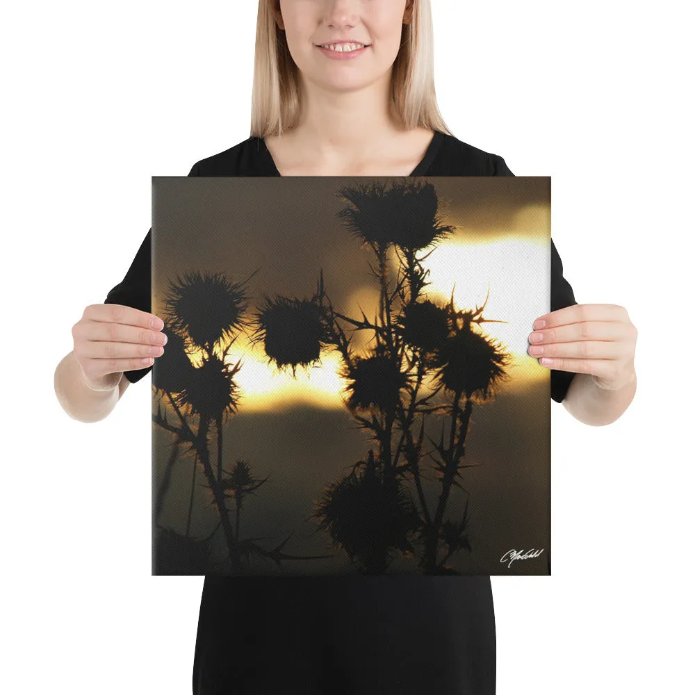 The Field of Strength Canvas
