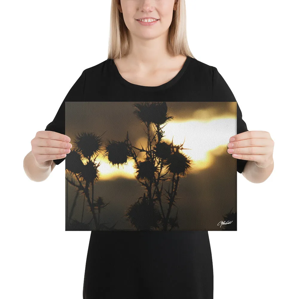 The Field of Strength Canvas