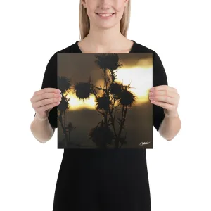 The Field of Strength Canvas
