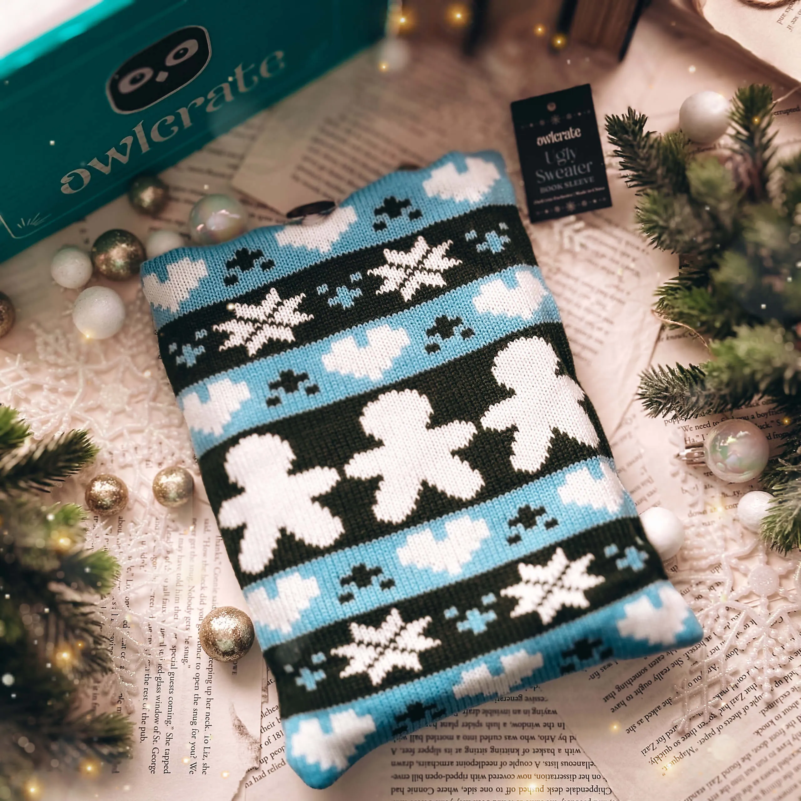The Holiday Box — Book & Goodies (Exclusive OwlCrate Edition)