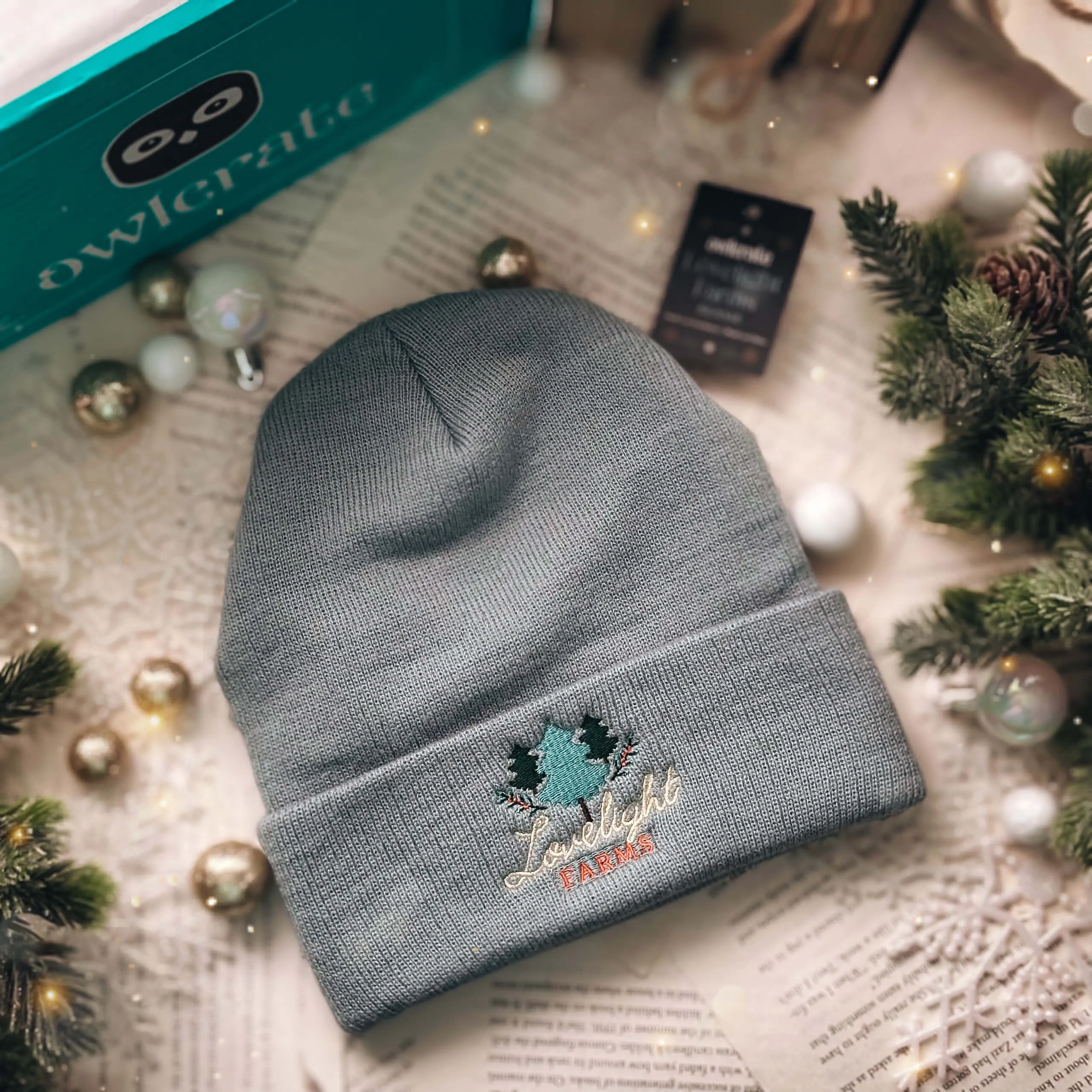 The Holiday Box — Book & Goodies (Exclusive OwlCrate Edition)