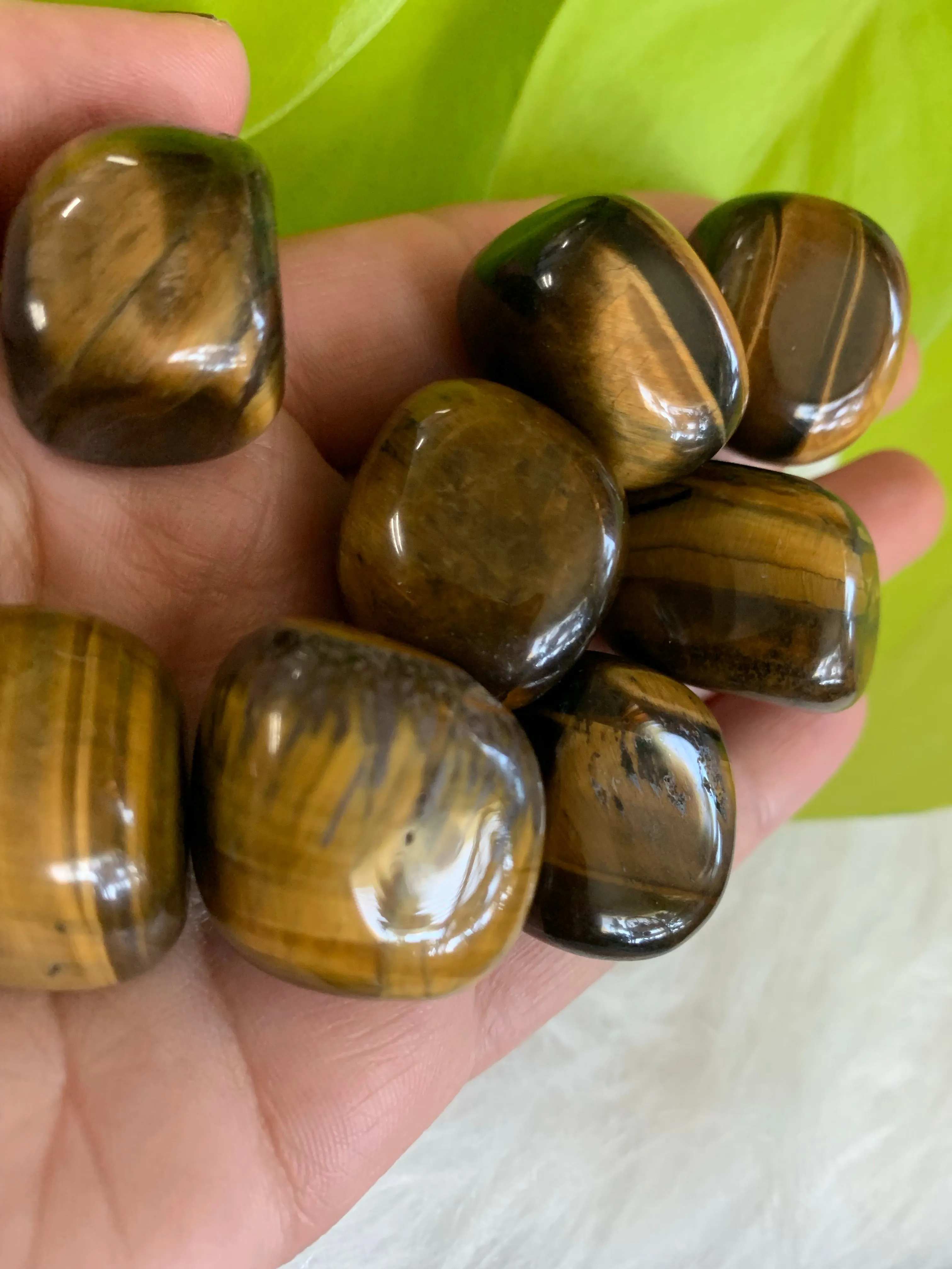 Tigers eye tumble
